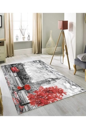 Digital Printed Non-Slip Base Washable Carpet